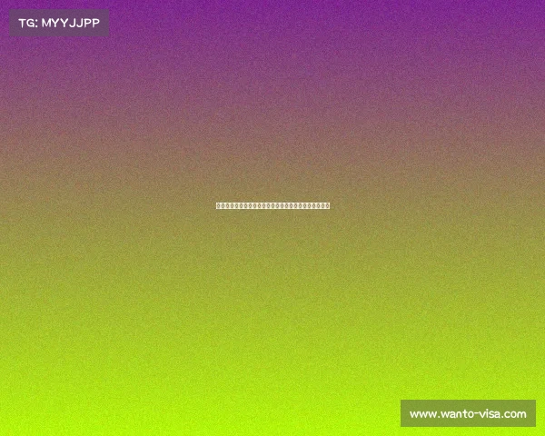 西甲夏季转会窗口分析各大豪门补强策略与新援前景展望