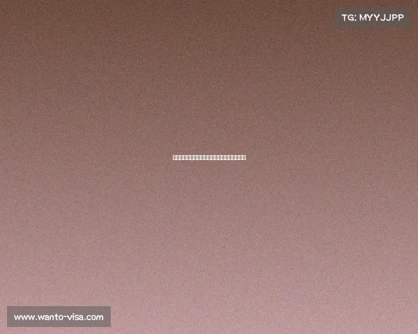 欧冠历史最佳门将评选与排名分析谁是守护之神