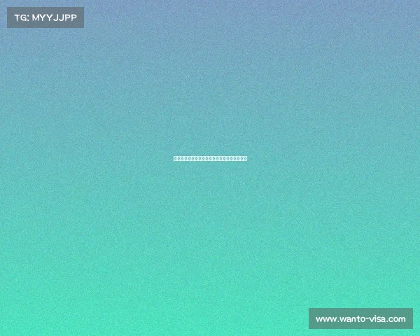 欧冠历史最佳门将评选与排名分析谁是守护之神