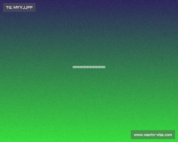 足球俱乐部转会资金投入计划制定与策略优化分析 足球俱乐部转会资金投入计划制定与策略优化分析